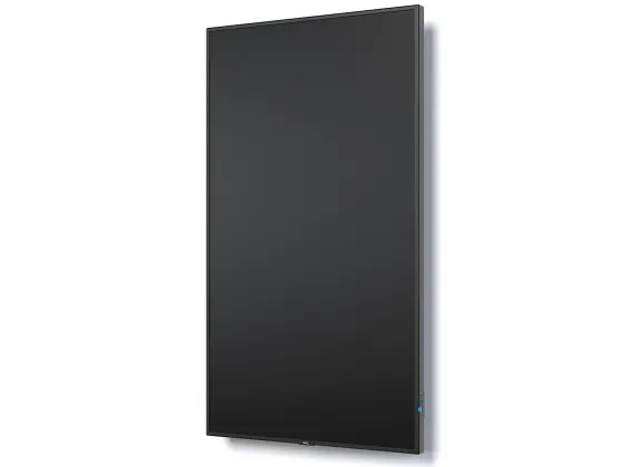 NEC MultiSync P495 49" Display