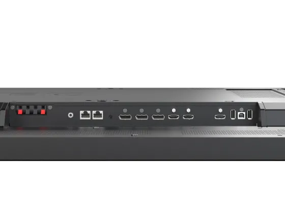 NEC MultiSync P495 49" Display