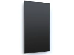 NEC MultiSync P495 49