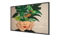 Philips 43BDL4510D/00 43" Display