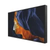 Philips 55BDL6002H/00 55" Display