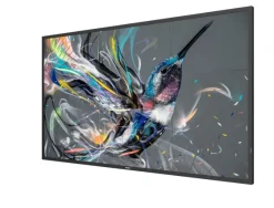 Philips 50BDL3550Q/00 49" Display