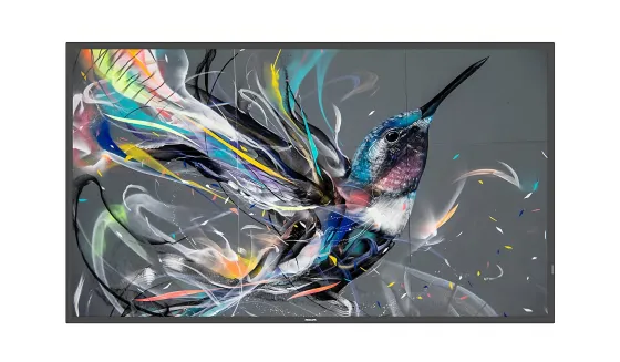 Philips 55BDL3511Q/00 55" Display