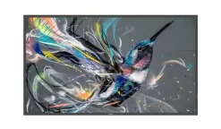 Philips 32BDL3511Q/00 32" Display