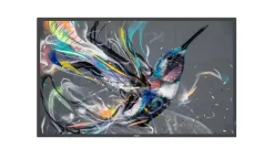 Philips 65BDL3511Q/02 Écran Ultra HD Q-Line 65 pouces avec lecteur multimédia intégré
