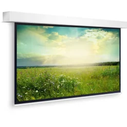 Projecta Descender Large Electrol, 16:10, 400x 255 cm, blanc mat