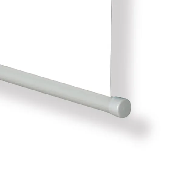Projecta Ecran de projection motorisé Master Electrol 400x 400cm, 1:1, Blanc Mat