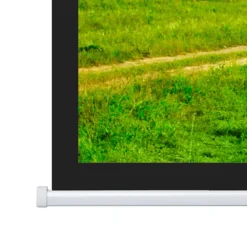 Projecta Ecran de projection motorisé Elpro Concept 280x 162 16:9 , blanc mat