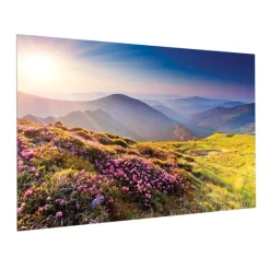 Projecta Ecran de projection sur cadre FullVision, 400x 250 cm, 16:10, blanc mat