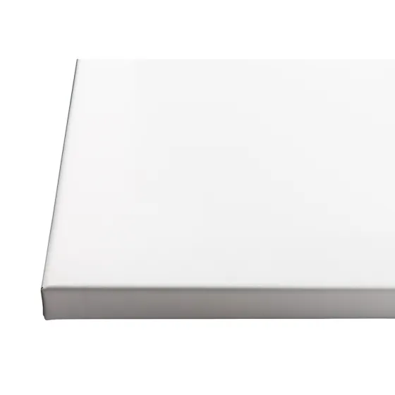 Projecta Ecran de projection sur Cadre FullVision, 450x 281 cm, 16:10 blanc mat