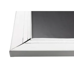 Projecta Ecran de projection sur Cadre FullVision, 450x 281 cm, 16:10 blanc mat