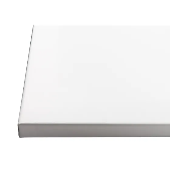 Projecta Ecran sur Cadre FullVision, 240 x 150 cm, 16:10, blanc mat