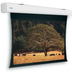 Projecta Tensioned Elpro Large Electrol, 400x 255cm 16: 10, blanc mat
