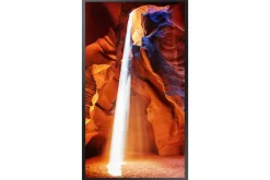 Samsung OM55N-S 55