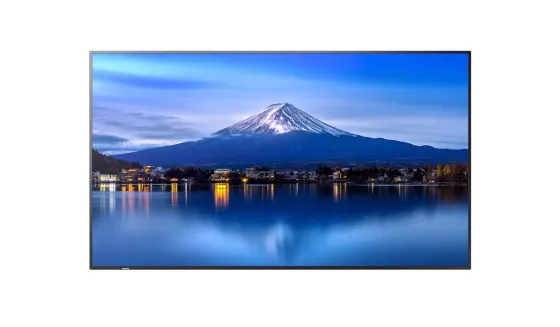 Sharp Écran professionnel grand format LCD MultiSync P436 de 43 pouces