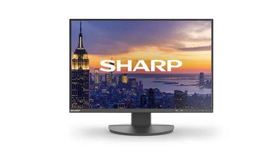 Sharp EA242W Moniteur LCD MultiSync 24 pouces pour applications bureautiques et industrielles