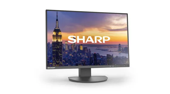 Sharp EA242W Moniteur LCD MultiSync 24 pouces pour applications bureautiques et industrielles