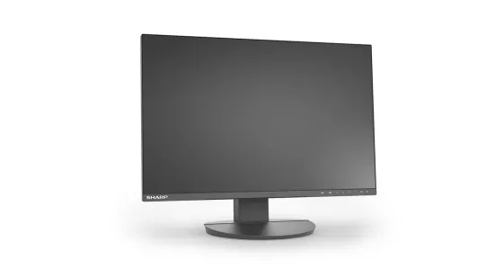 Sharp EA242W Moniteur LCD MultiSync 24 pouces pour applications bureautiques et industrielles