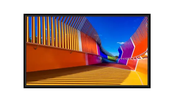 Sharp MultiSync E659 Écran grand format Essential de 65 pouces