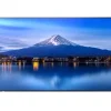 Sharp MultiSync P506 Écran LCD professionnel grand format 50 pouces