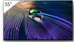 Sony FWD-55A90J 55" Display