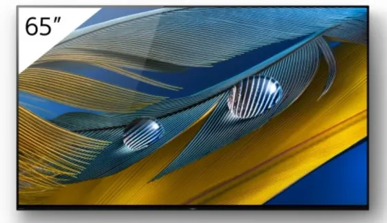 Sony FWD-65A80J 65" Display