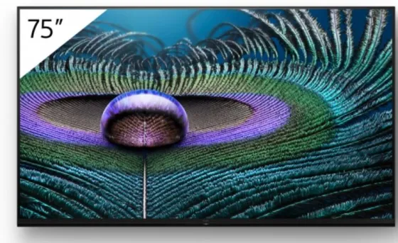 Sony FWD-75Z9J 75" Display