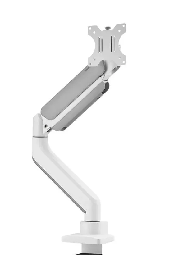 Support de bureau Neomounts DS70PLUS-450WH1 pour écran incurvé 17"-49" - blanc (inclinable, rotatif et pivotant)