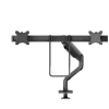 Support de bureau Neomounts DS75S-950BL2 pour 2 écrans de 17"-27" - noir (inclinable, rotatif et pivotant)
