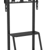 Support mobile/fixe celexon Economy Adjust-55110MP réglable en hauteur manuellement - 55’’-100’’