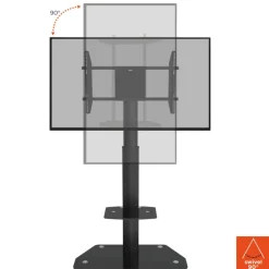 Support mobile/fixe celexon PRO Adjust-3270MP réglable en hauteur manuellement - 32’’-70’’ (Portrait / inclinable de 15°)
